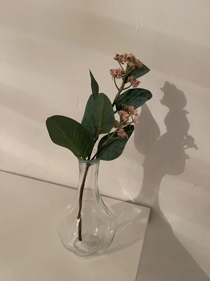 Guest house Bf Boutique Jerez Hotel Jerez de la Frontera